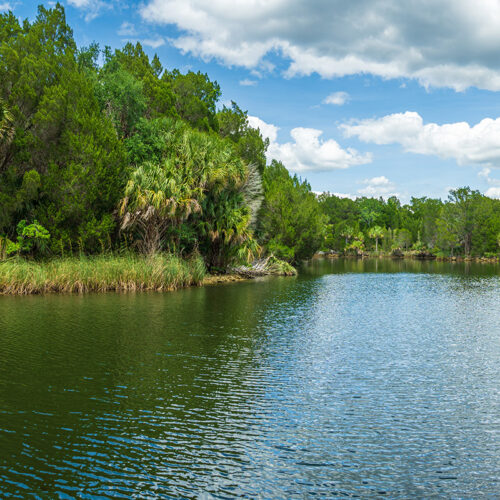 Captain Dan's Boat Charter Tour on Crystal River