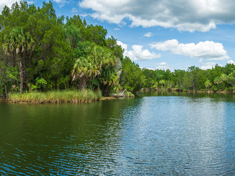Captain Dan's Boat Charter Tour on Crystal River