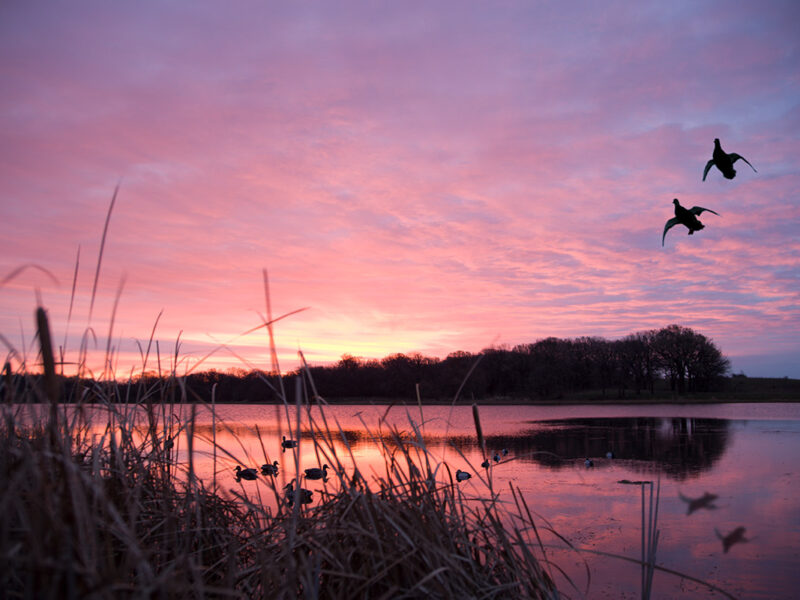 Captain Dan's Duck Hunting Boat Charter Tour
