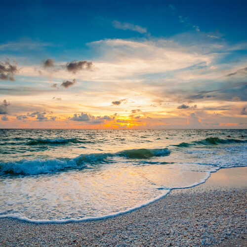 Captain Dan's Gulf of Mexico Boat Charter Tour
