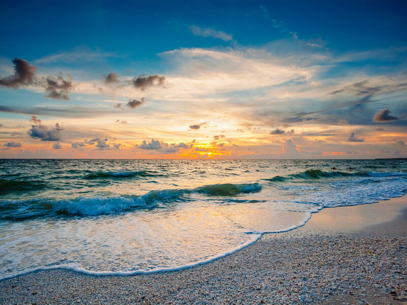 Captain Dan's Gulf of Mexico Boat Charter Tour