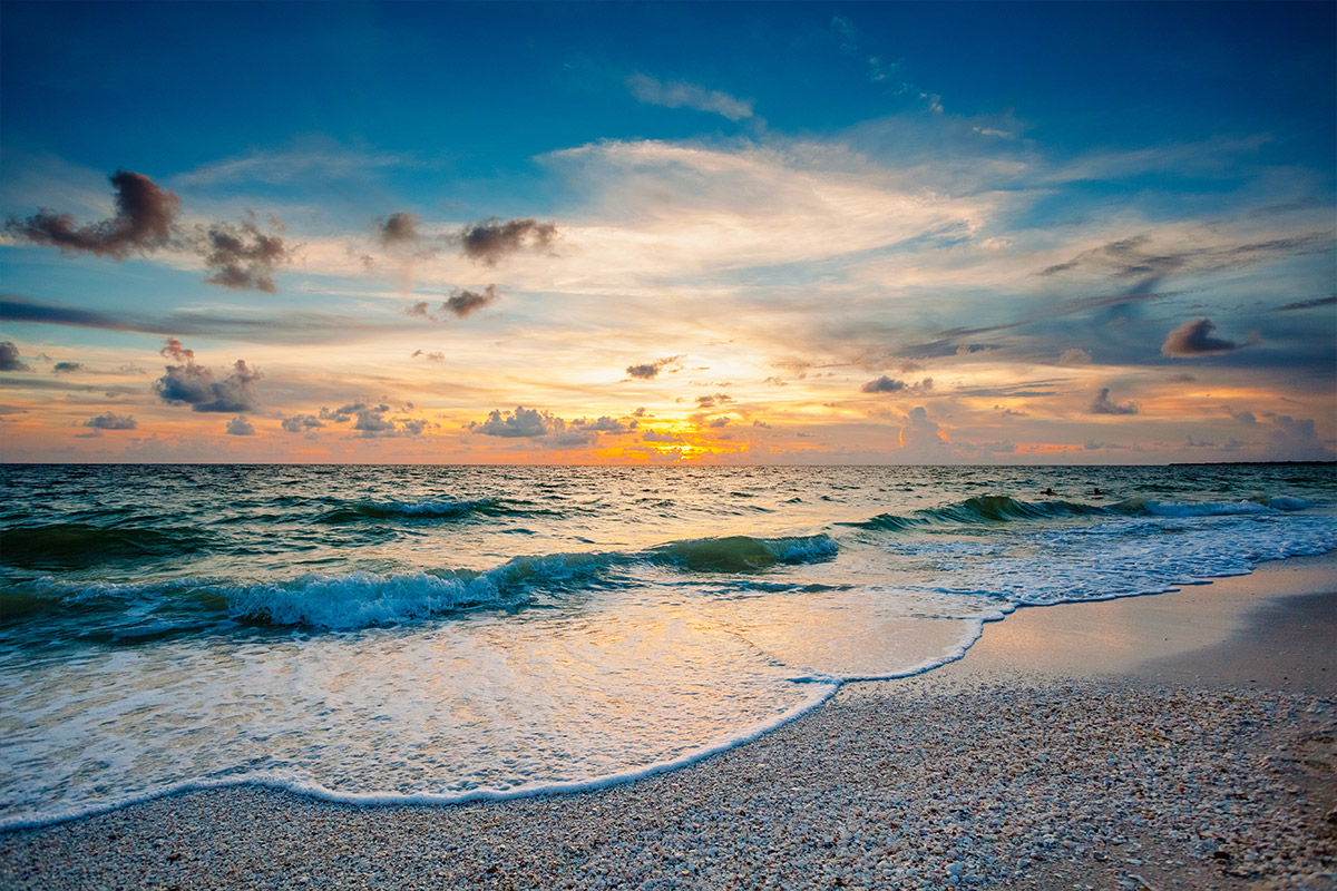 Captain Dan's Gulf of Mexico Boat Charter Tour