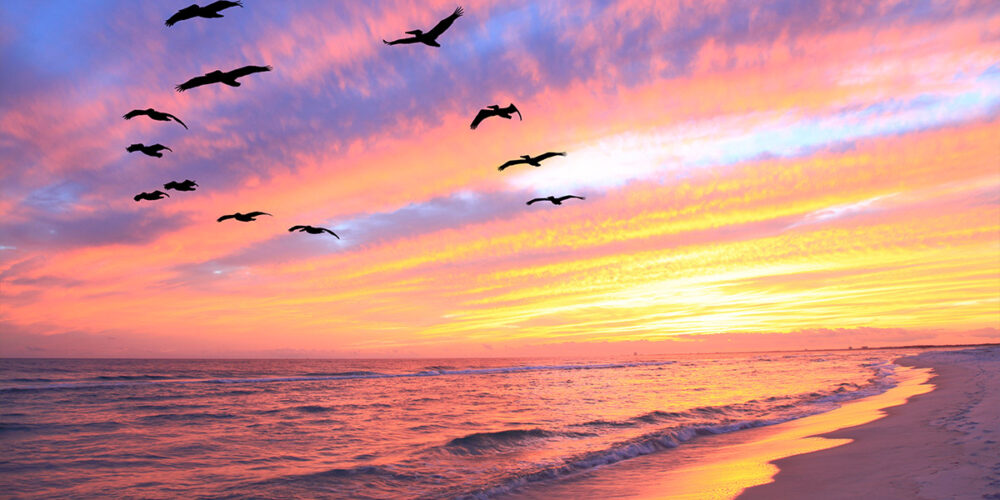 Captain Dan's Gulf of Mexico Boat Charter Tour